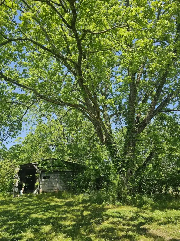 Picture 26