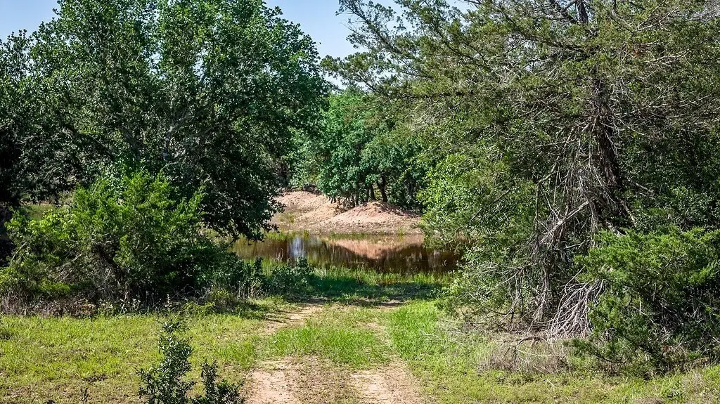 Picture 24