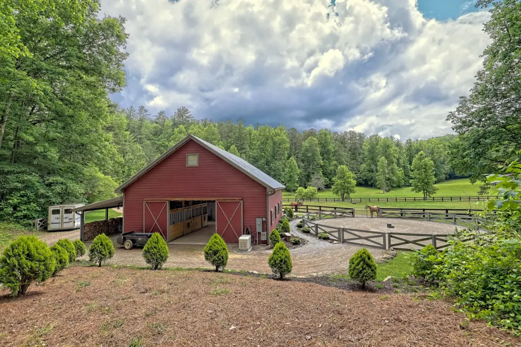 Picture 3
