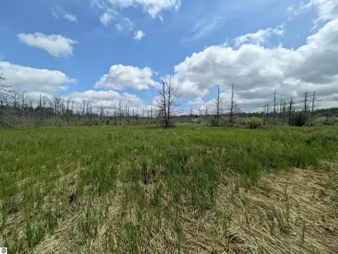 Wooded Hunting Land with Sheds