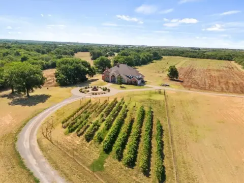 Vineyard & Winery Business Opportunity