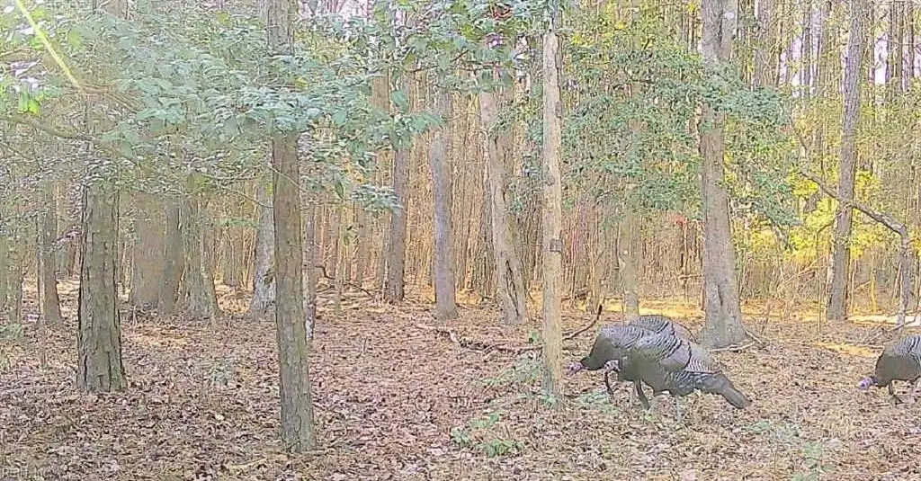 Picture 13