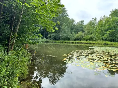 Pondfront Recreation Land