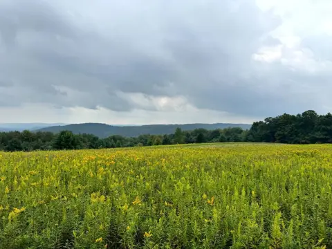 Open Recreational Land