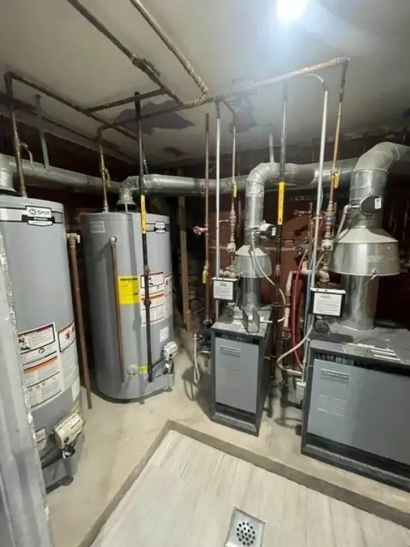 Picture 14