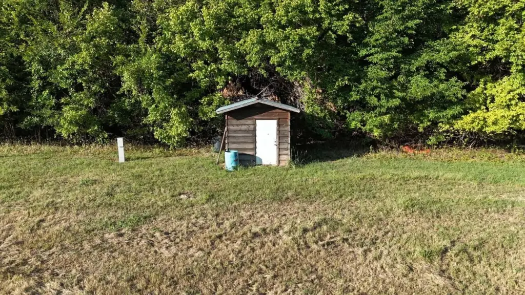 Picture 10