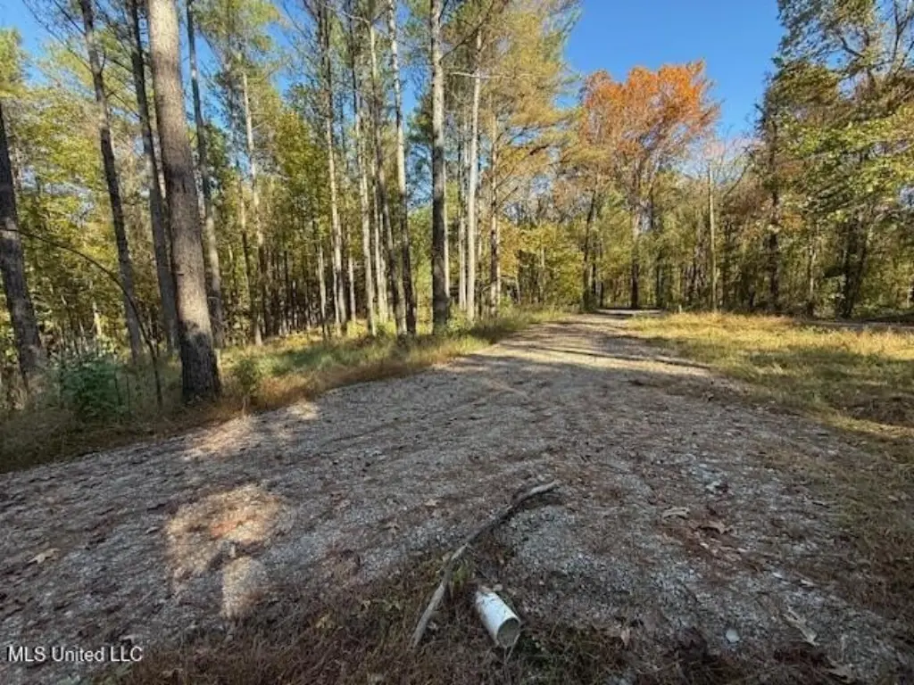 Picture 5