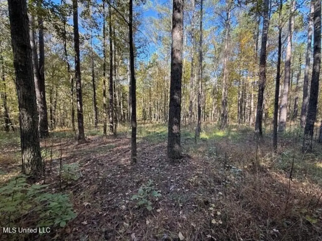 Picture 28