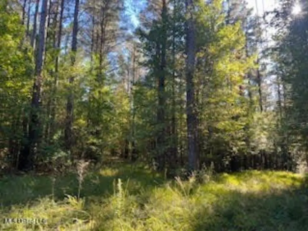 Picture 26