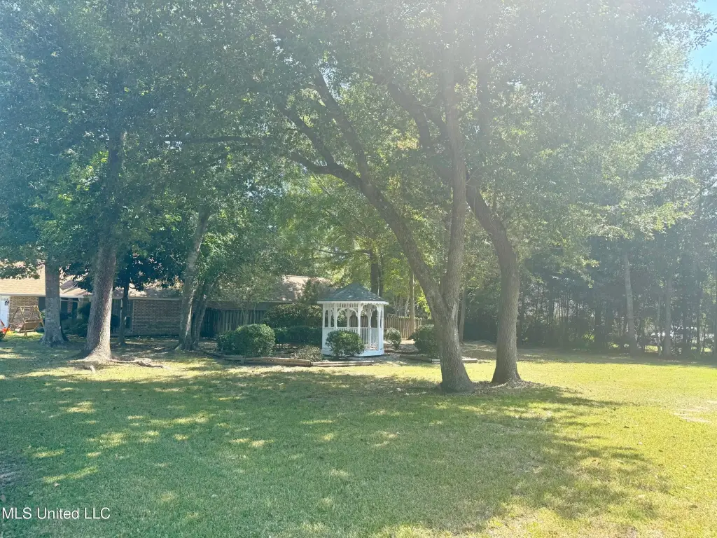 Picture 5