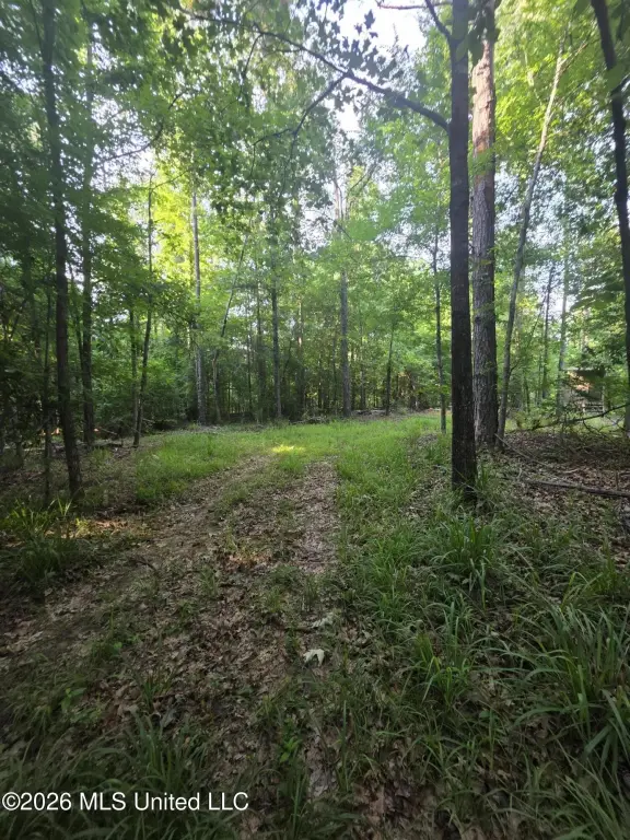 Picture 27