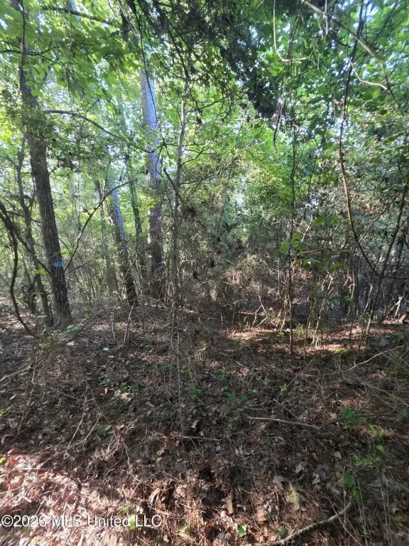 Picture 2