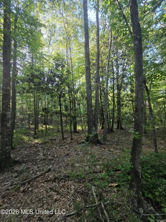 Picture 20