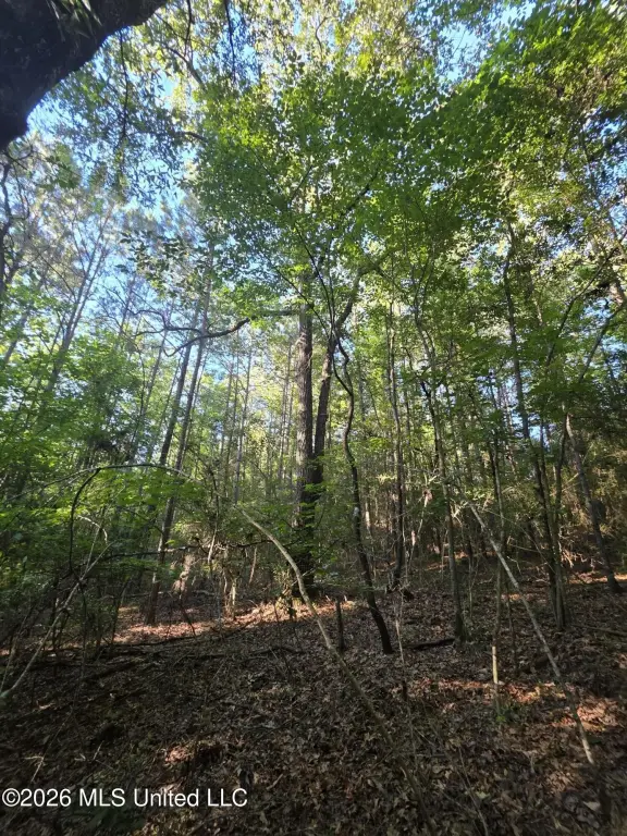 Picture 25