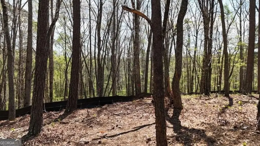 Picture 41