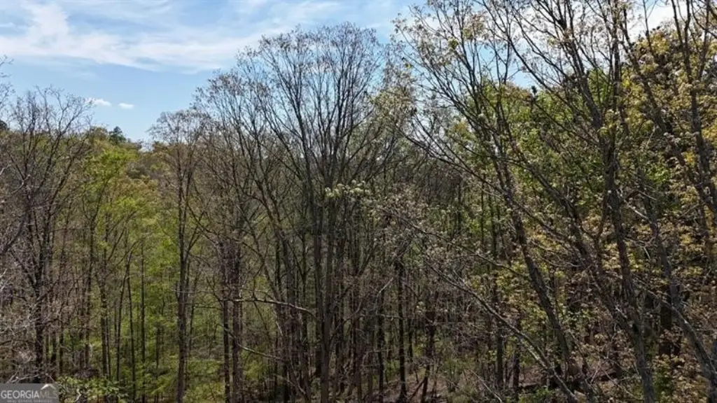 Picture 56