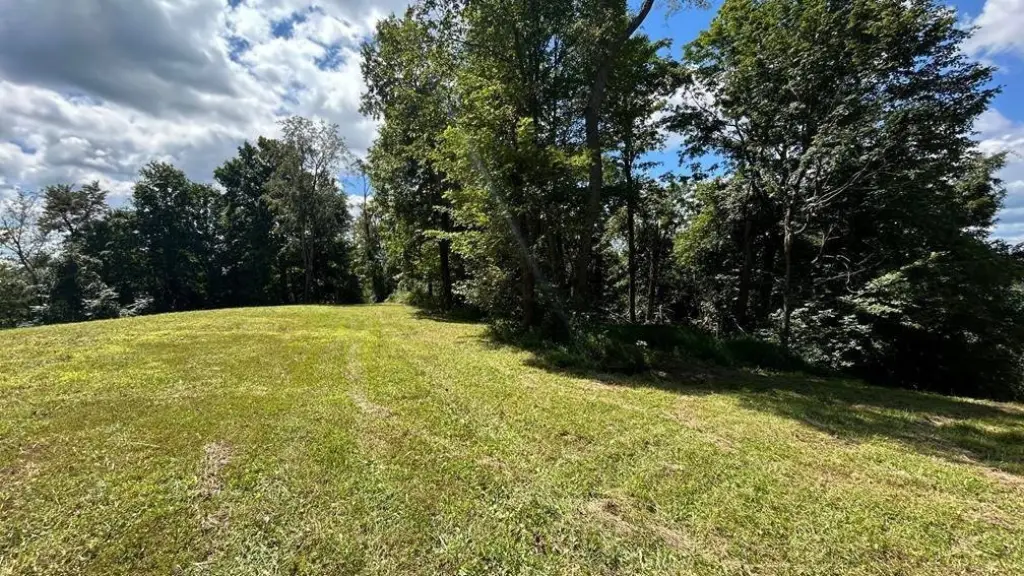Picture 15