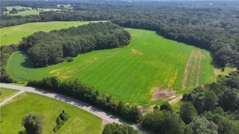 50 Acres Agricultural Land in Georgia