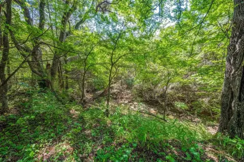 7.35 Acres of Improved Land