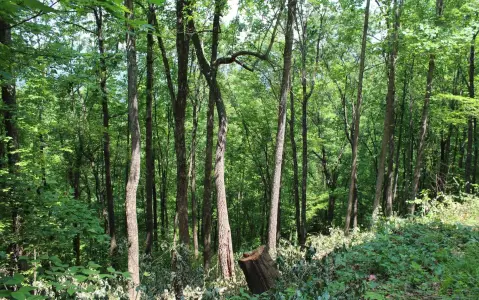 Hayesville, NC Vacant Lot