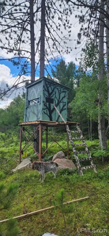 Picture 35