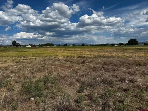 12+ Acre Parcel Near Town