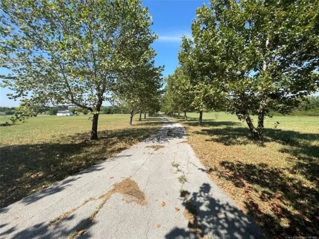 Picture 18