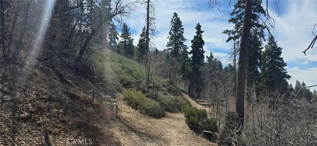 Picture 25
