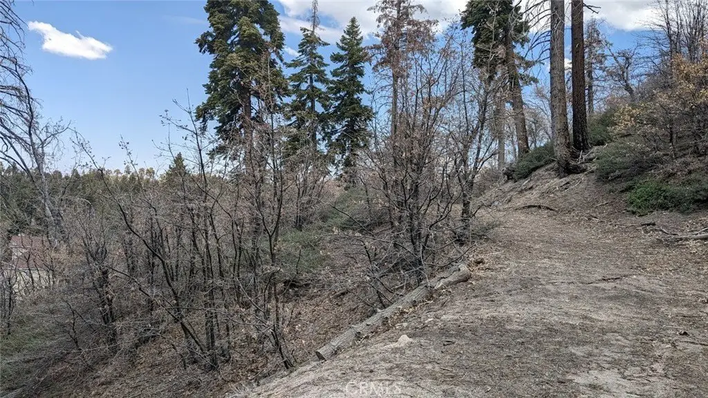 Picture 10
