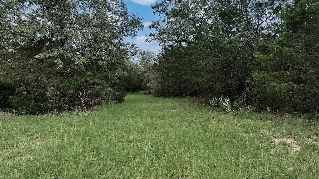 Picture 14