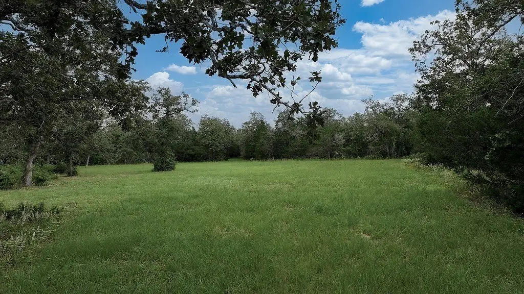 Picture 15