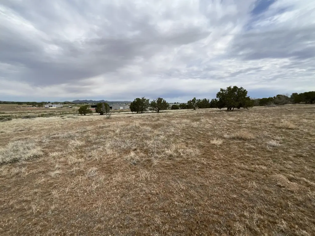 Picture 18