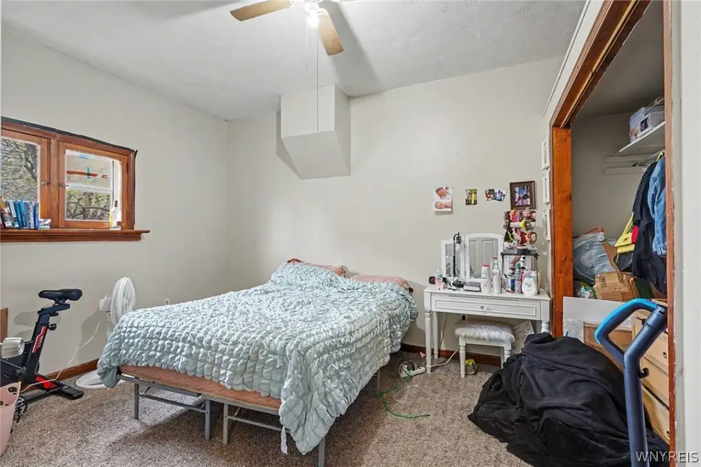 Picture 41