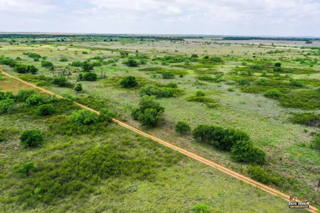Picture 12