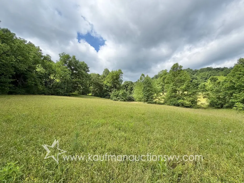 Picture 16