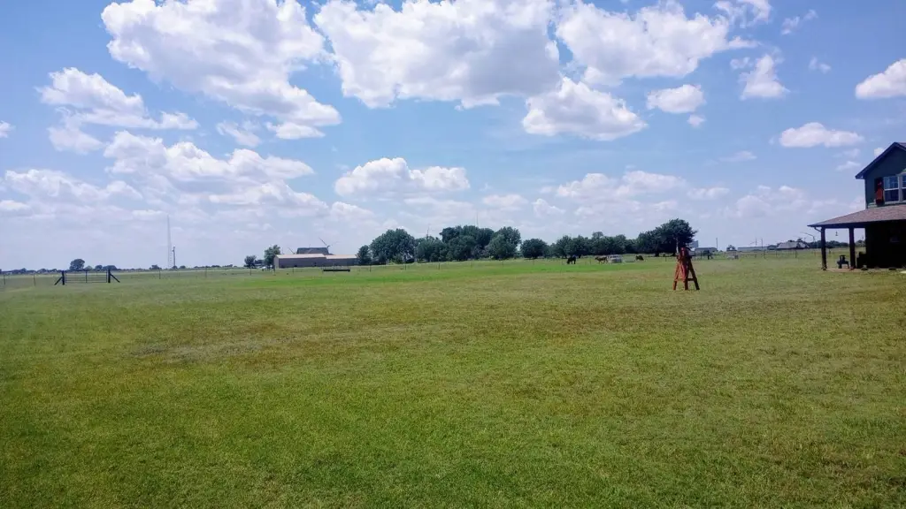 Picture 19