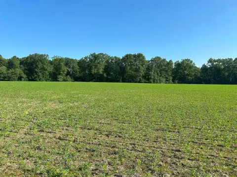 54 Acres Agricultural Development Opportunity