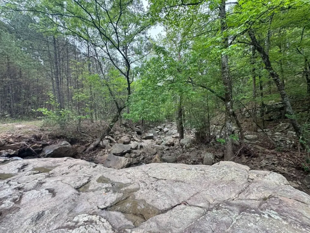 Picture 25