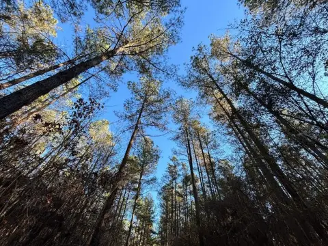 70 Acres Vacant Land