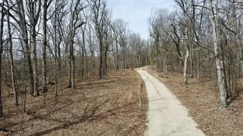 Secluded Timber Land For Sale