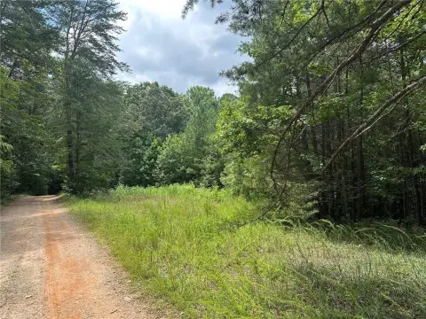 Unrestricted Land in Dawsonville, Georgia