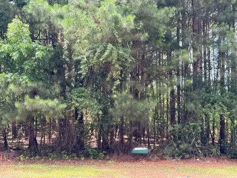 Residential Lot in Gated Community