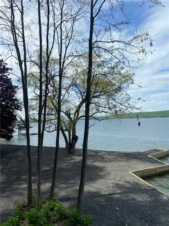 Picture 5