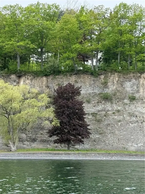Picture 4