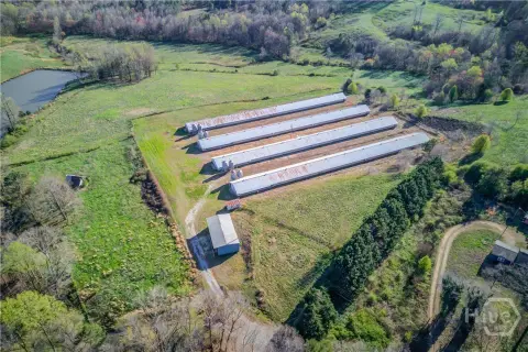 Poultry Farm With Support Building