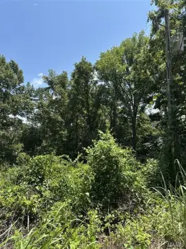 Wooded Land Near Current River