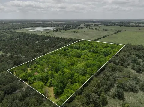 4 Acres of Wooded Land