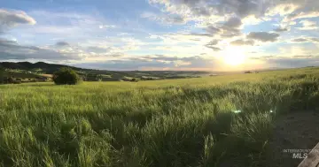 Moscow Acreage Near Amenities