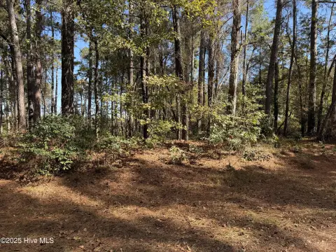 Unrestricted Goldsboro Acreage