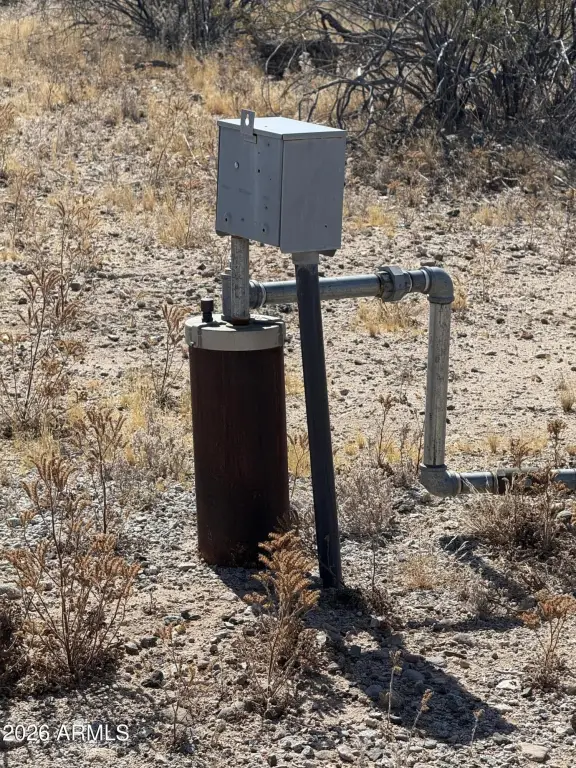 Picture 5